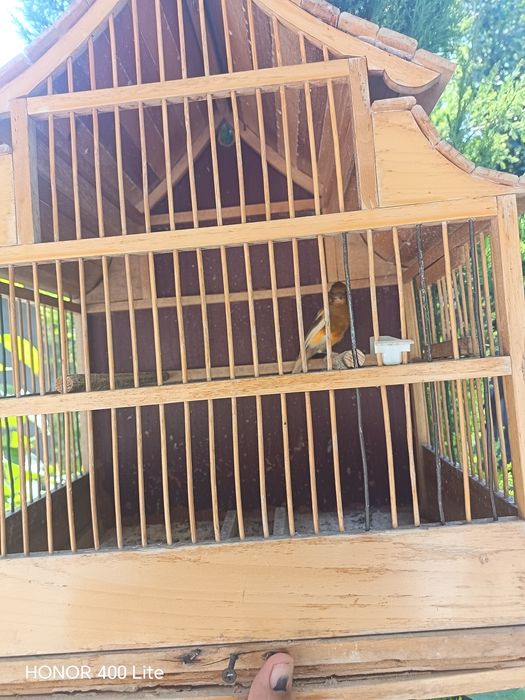 Kanareka nar saridi