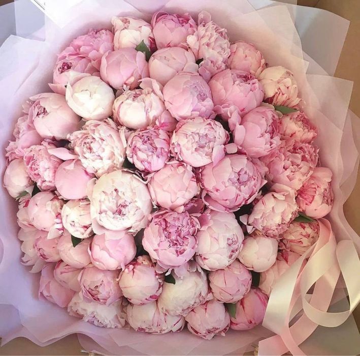 Букеты пионов , тюльпаны,розы