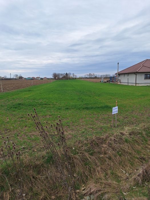 Casa de vinzare plus teren