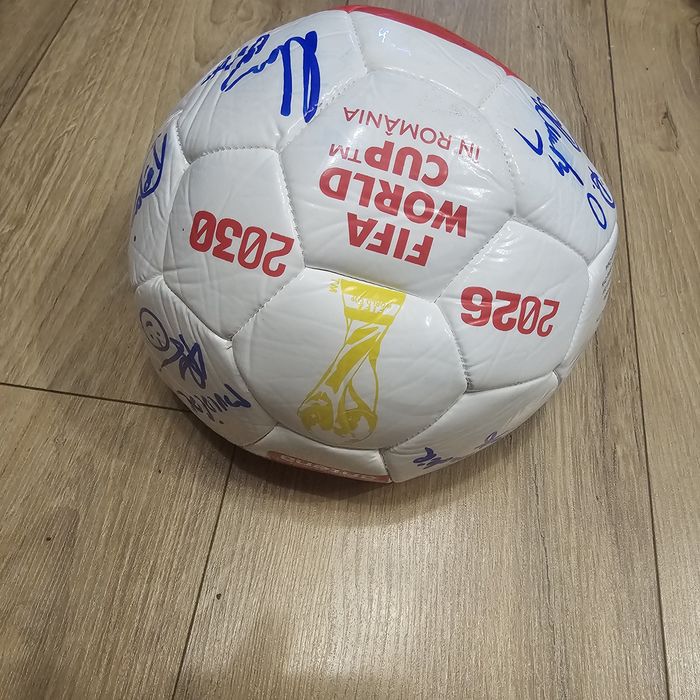 Vand Minge world cup 2026 SEMNATA