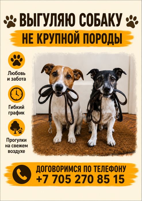 Выгул собак не крупной породы