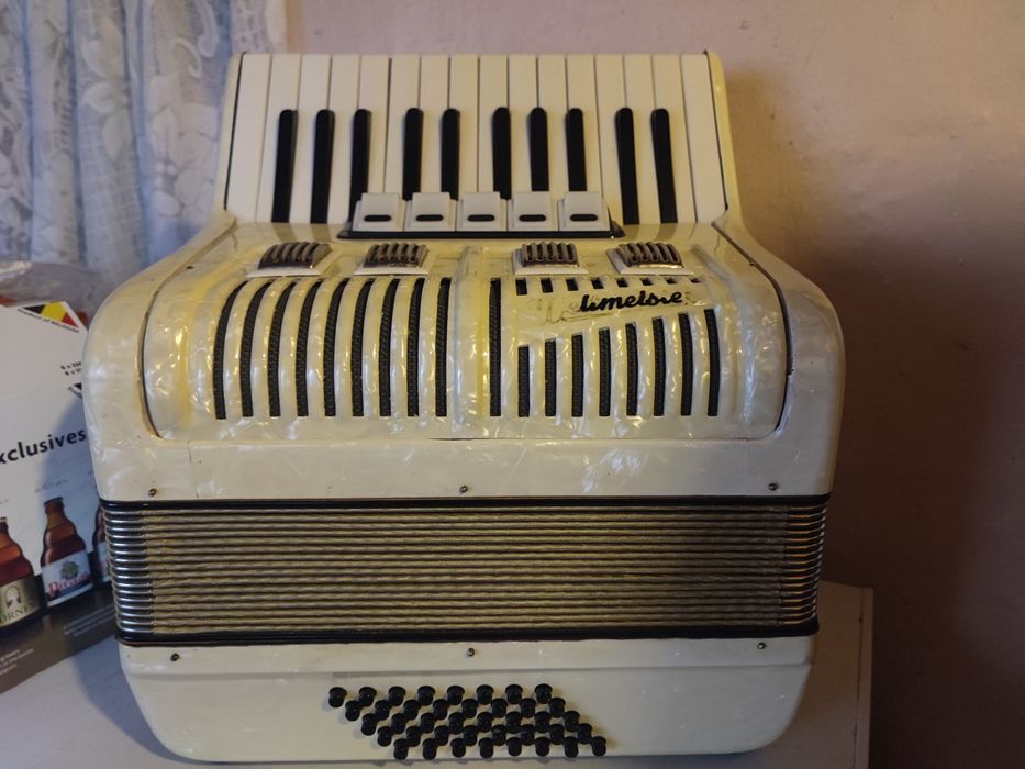 Vand acordeon weltmeister