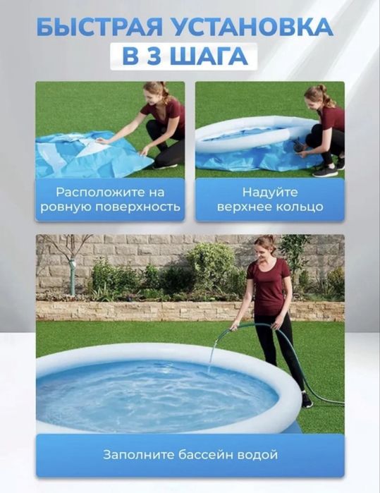 bassetn intex.