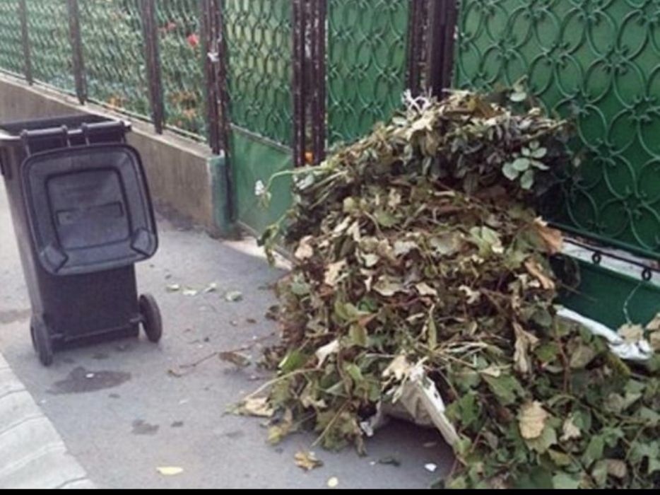Servicii de curățenie curți și transport moloz