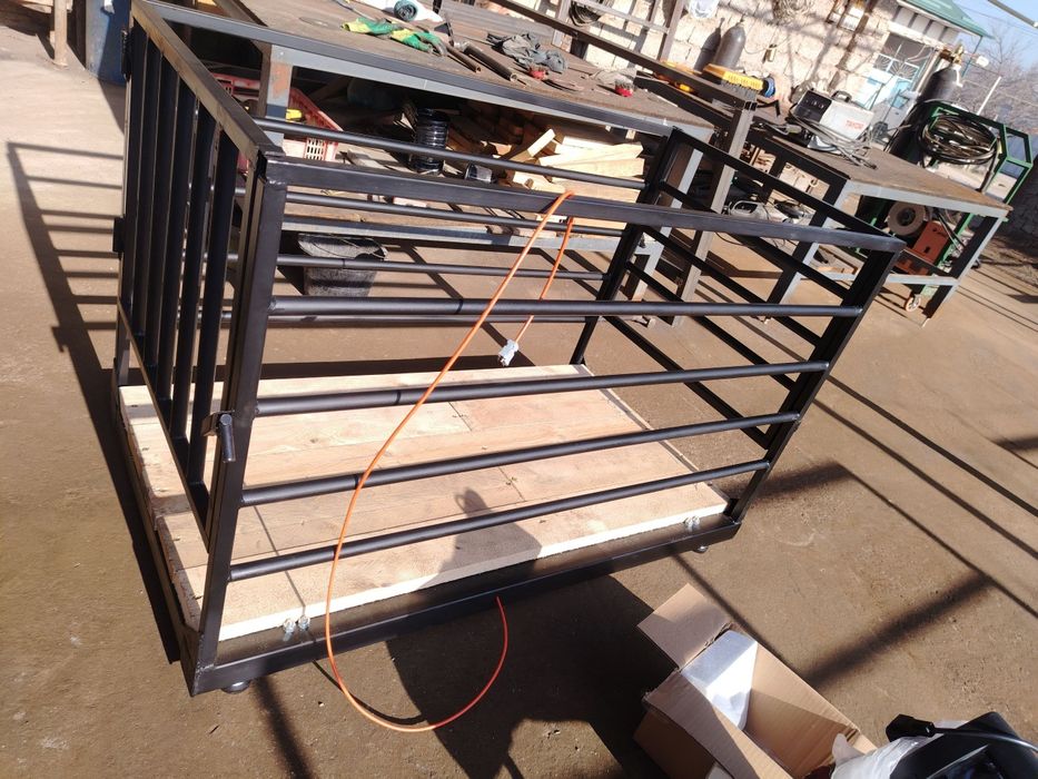 Chorva xayvolarin olchedigan qoy tarozi