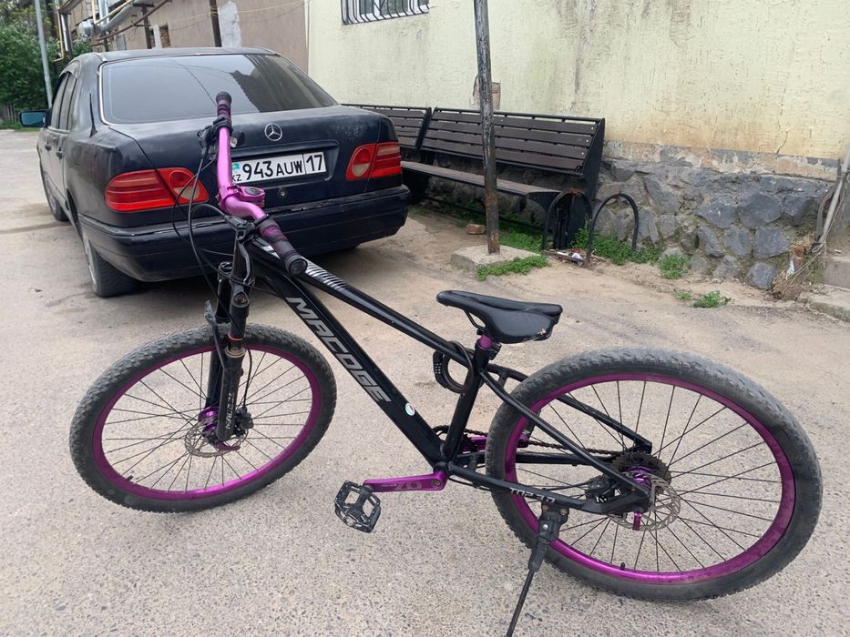 Стант велик macoge