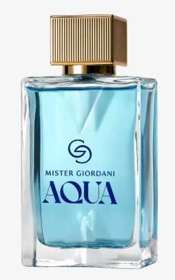 Eclat Homme,Giordani Gold Man,Mister Giordani Aqua,Possess The Secret