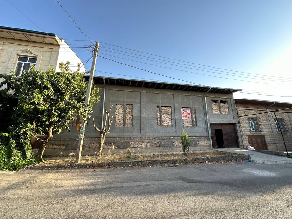 Qora qamish 2/4 6-sotox