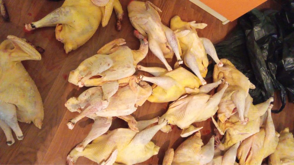 индюк мясо свежее