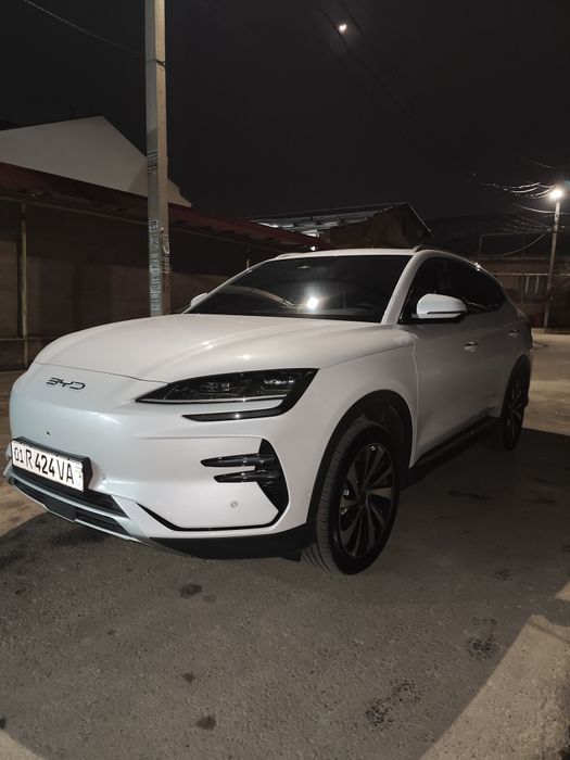 BYD. Чинпийон. 605.  Тали. Токда.