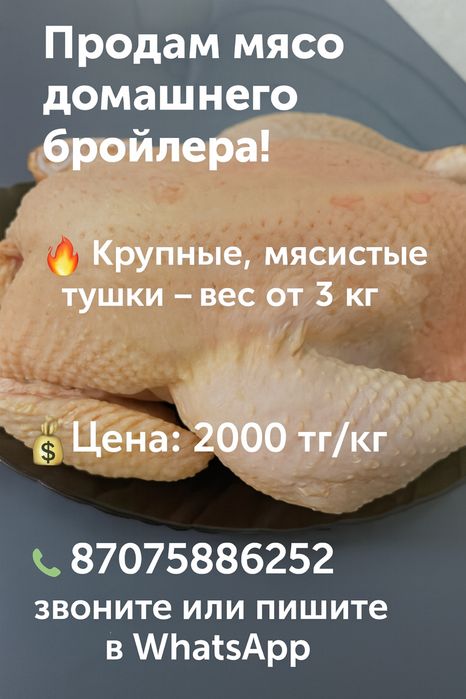 Мясо домашнего бройлера