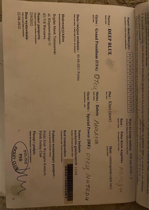 Кобылааааааааааа