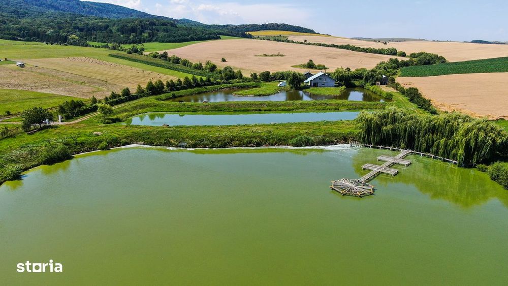 Proprietate spectaculoasă de 31.500 mp, cu iazuri și case locuibile