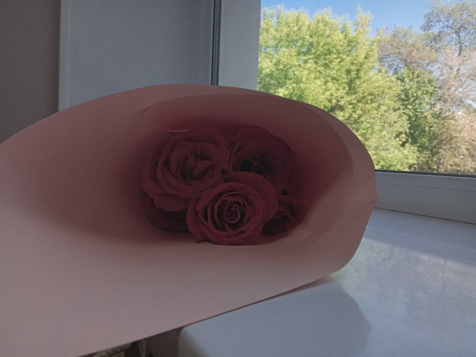 Продам свежий букет роз 5шт.