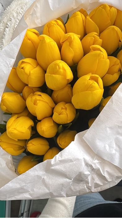 Тюльпаны 640 тг белоруссия