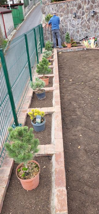 Grădinărit/Gazon/Irigații