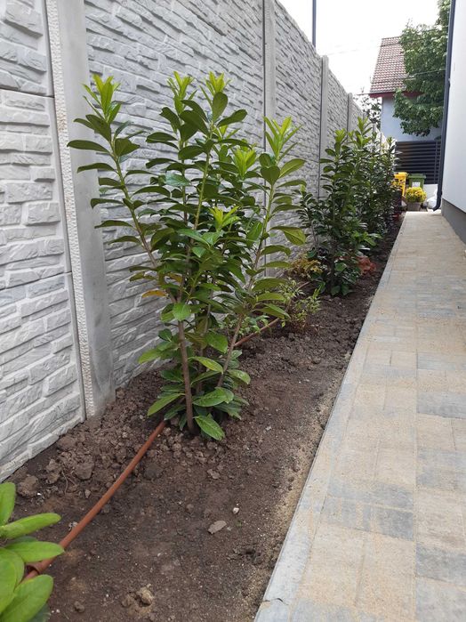 Sisteme de irigatie pentru gradina