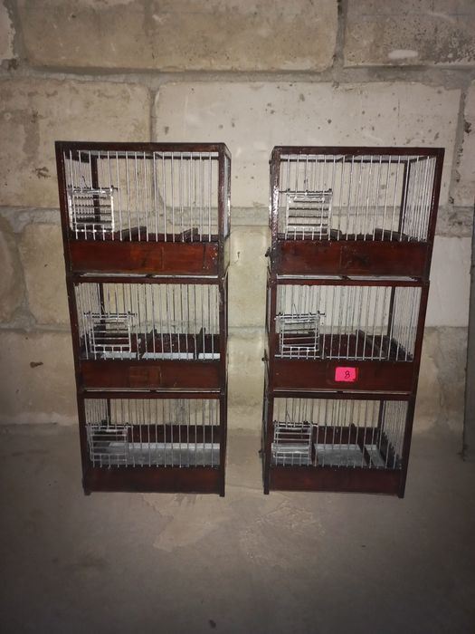 Colivii de cântec se vinde la set