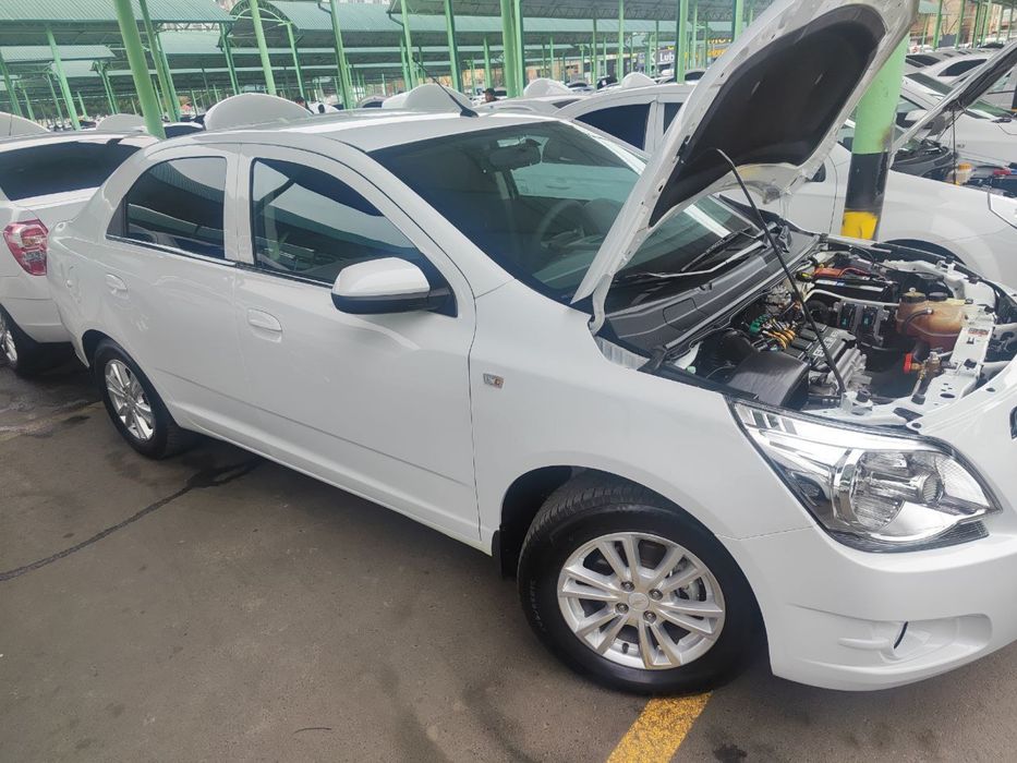 Cobalt ltz 2023 kraska toza