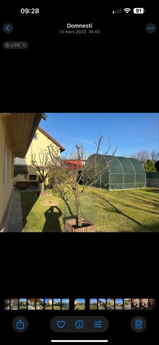 Solare si sere legume