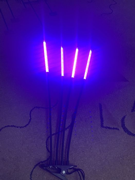 Фитолампа для рассады и цветов