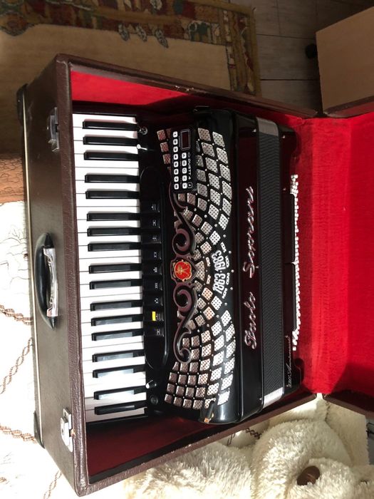 Acordeon cu midii montat Dan Grigore Orsova
