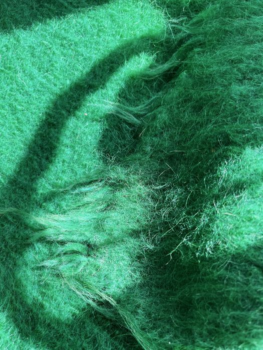 Pricoiță tesuta la război 1960