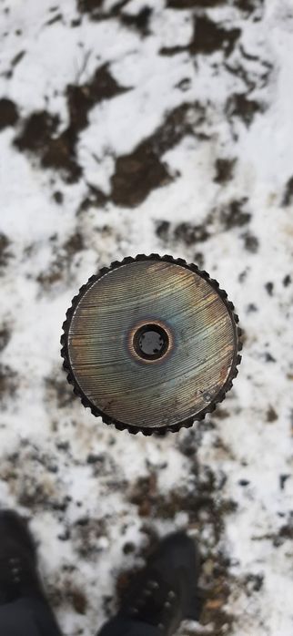 Planetara scurta Daf