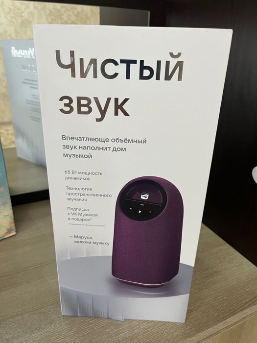 Умная колонка ВК капсула PRO