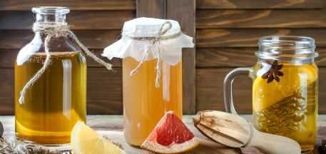 Cultura Kombucha