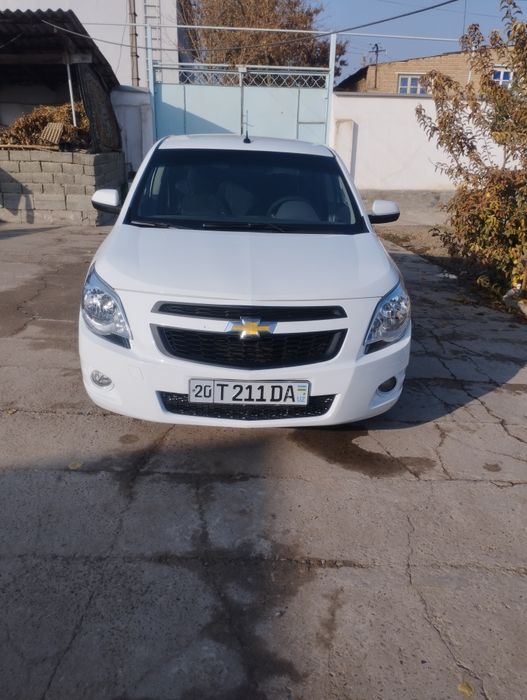 Кобилт 2014 краскаси Тоза