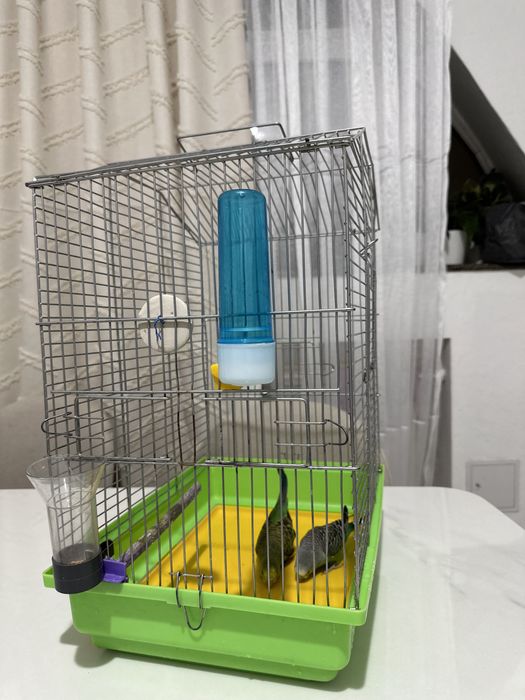 Срочно продам попугай вместе с клеткой