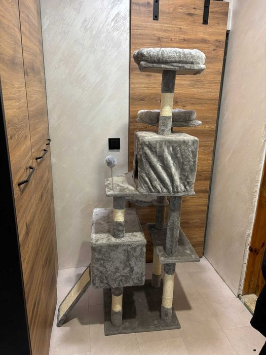 Голяма котешка катерушка 160см