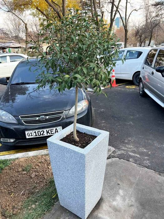 Гул тувак, вазон, кашпо, горшки из бетона