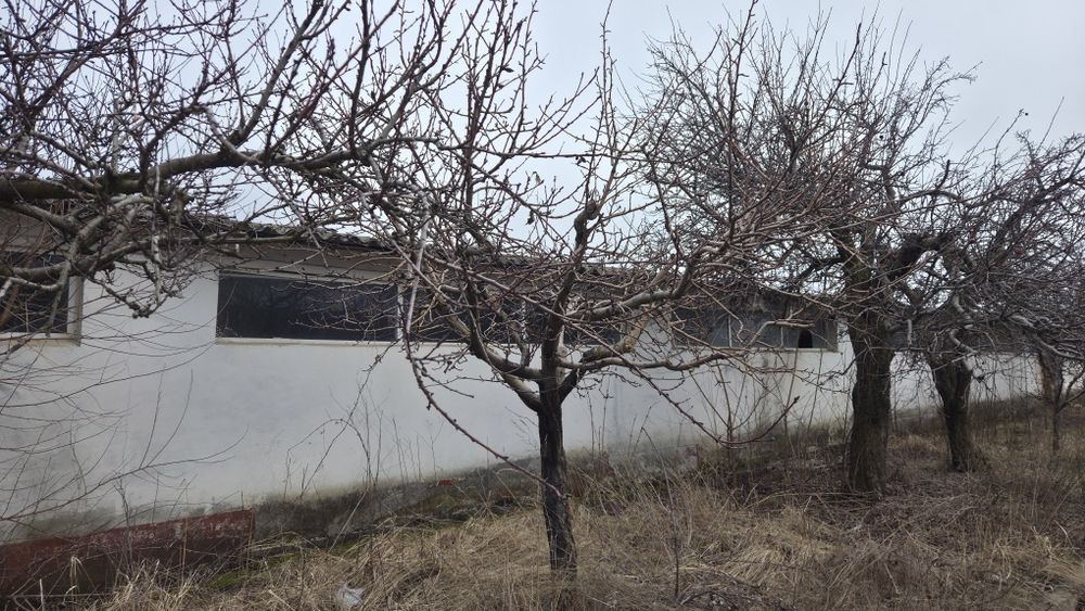 Hala de vanzare 1200 mp.