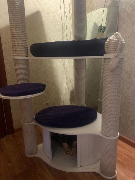 Игровой домик для кошек с диваном