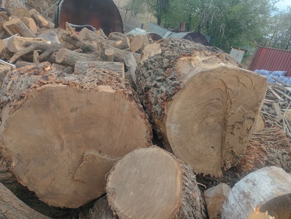 Продам большие пеньки карагача