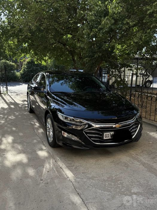 Malibu Premier Srochna Sotiladi