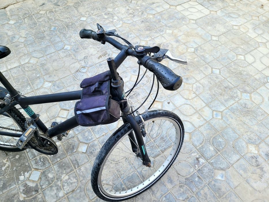 Velosepid germaniske xolati edial