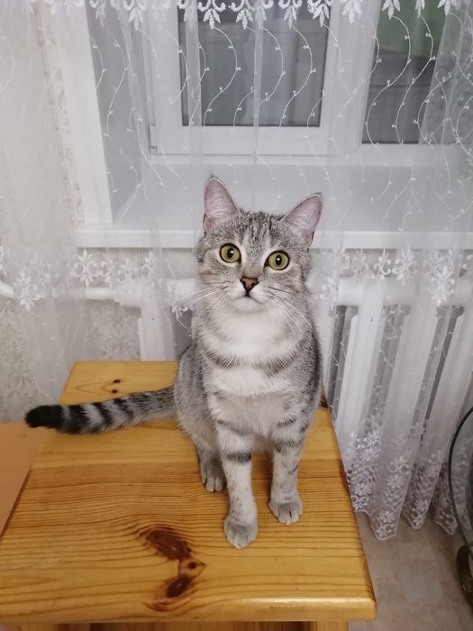 Красавица Бусинка