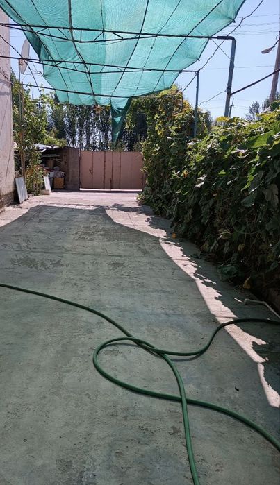 Kaттеж  Юкори чирчикда сотилади