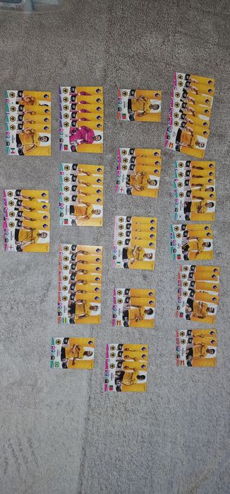 Cartonase fotbalisti Panini 2024