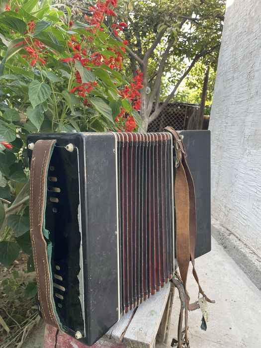 Аккордеон сатылады