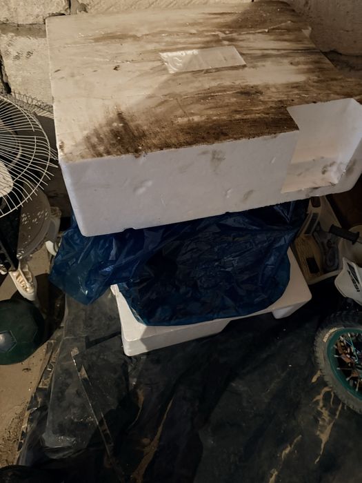 Матор акцент рио солярис