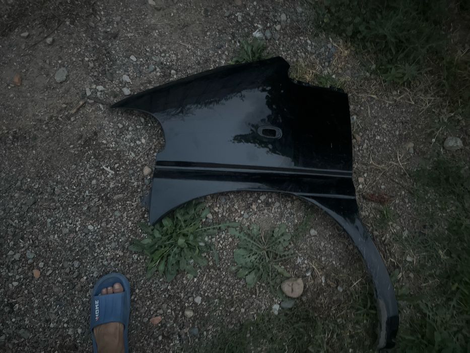 Митцубиси Делика булка  крыло