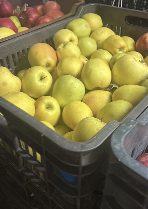 Mere consum de vanzare !!! Idared , prince , delicios , golden !!!