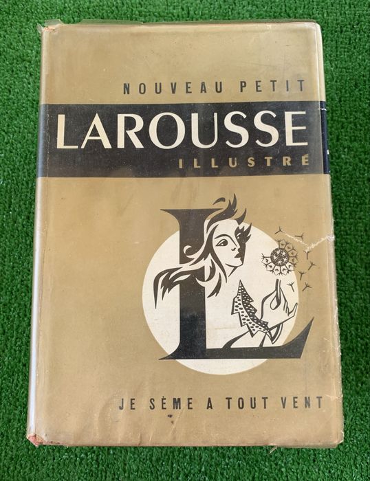 Dictionar Le petit Larousse