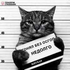 Осгоп, пассажирское страхование. Пассажир суғуртаси. Такси.
