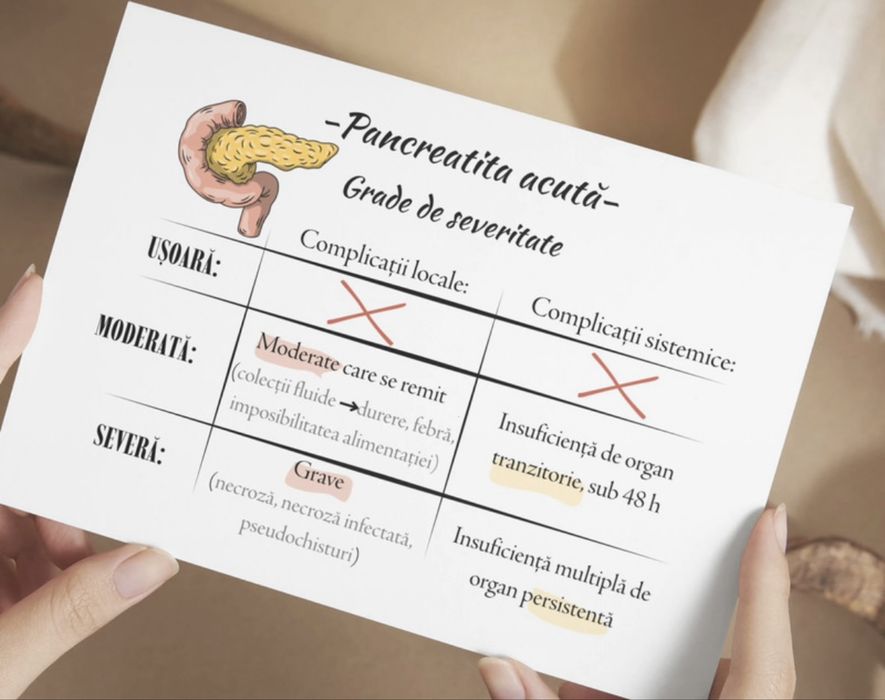 Flashcarduri Flash your mind/Rezibrain rezidențiat
