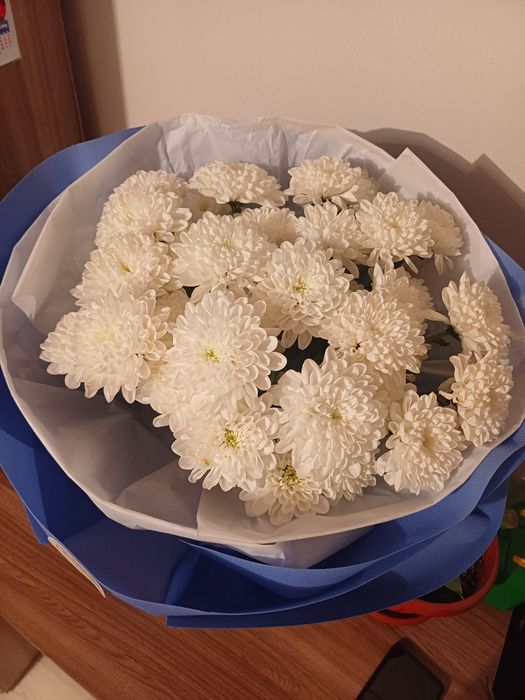 Гул сатылады свежий